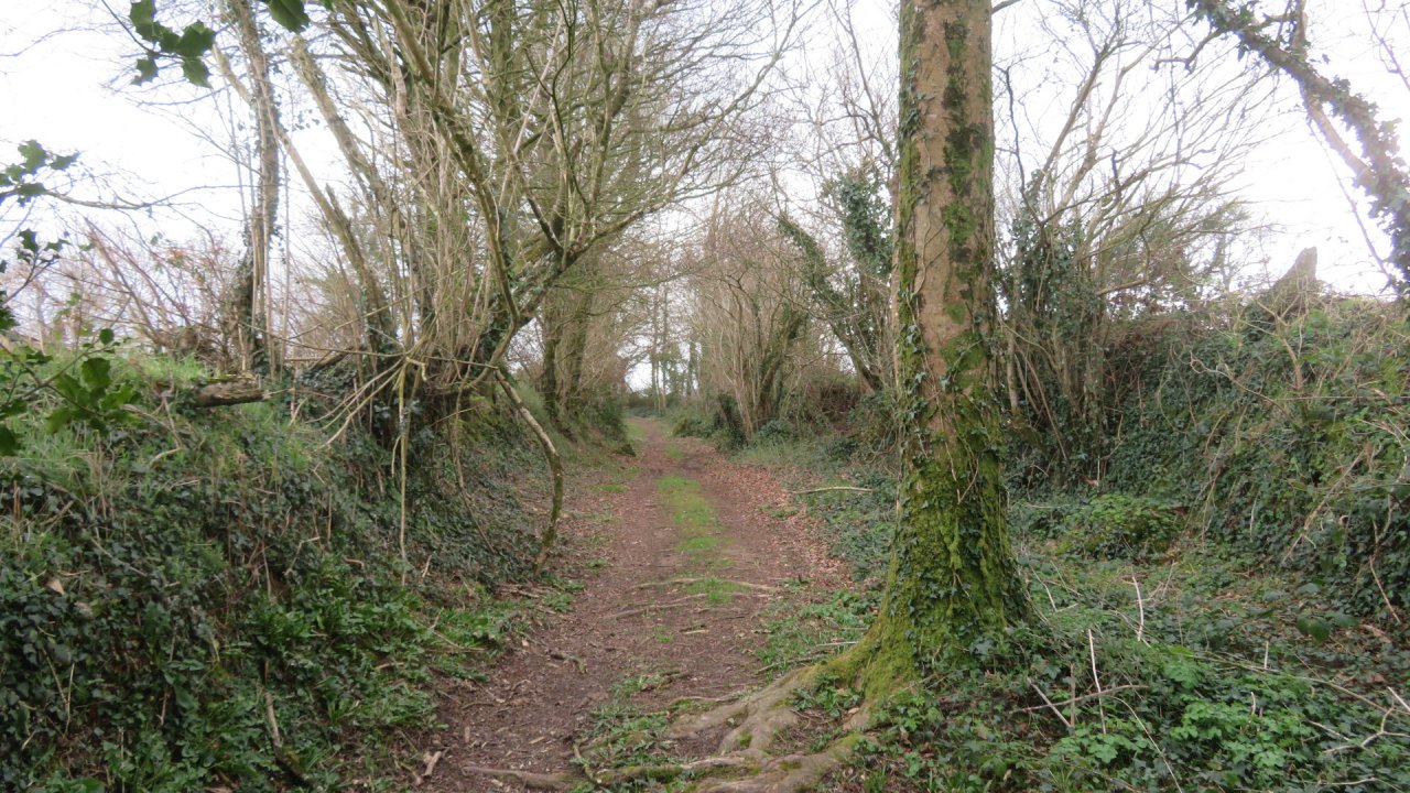 photo du diaporama