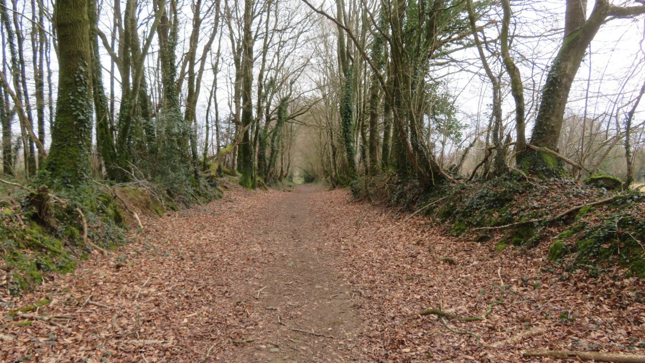 photo du diaporama