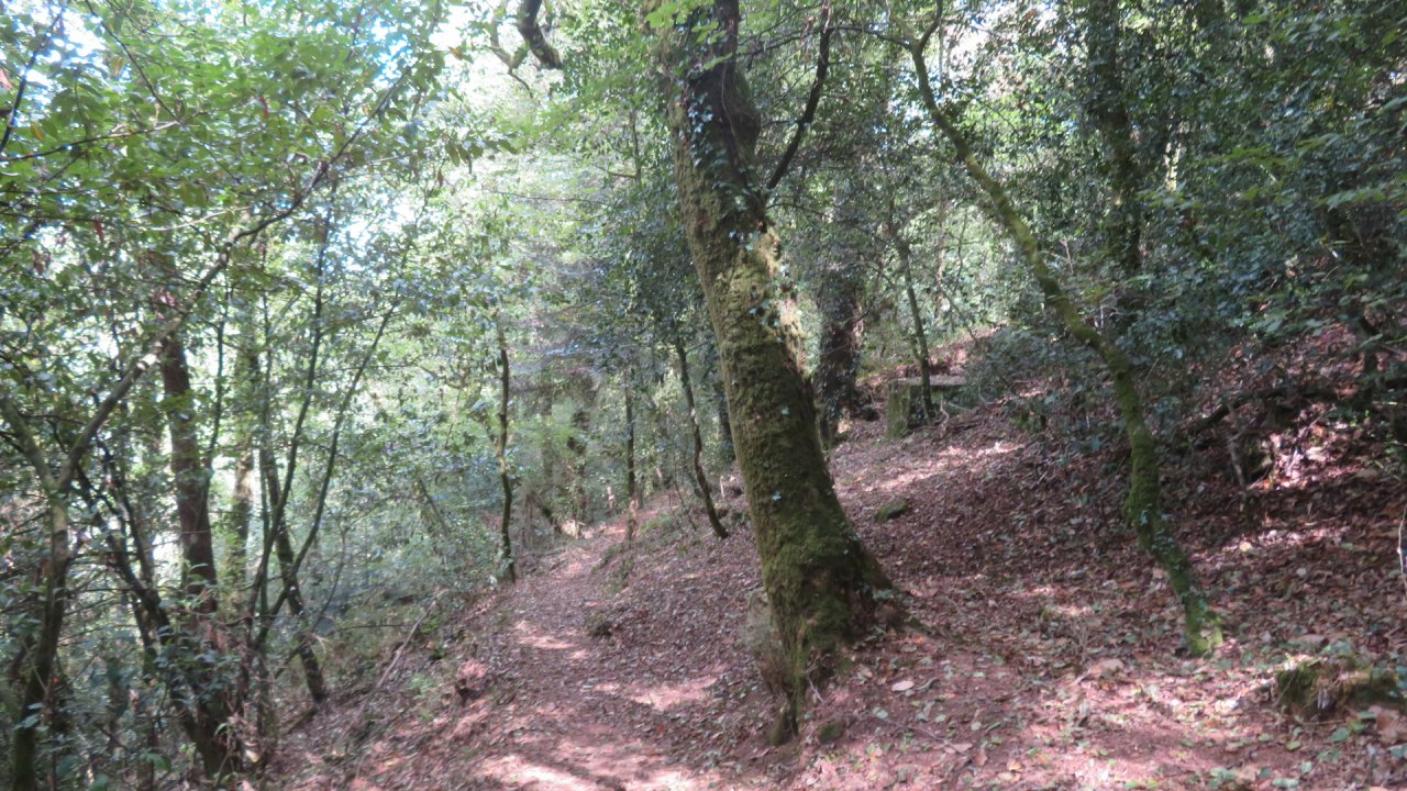 photo du diaporama
