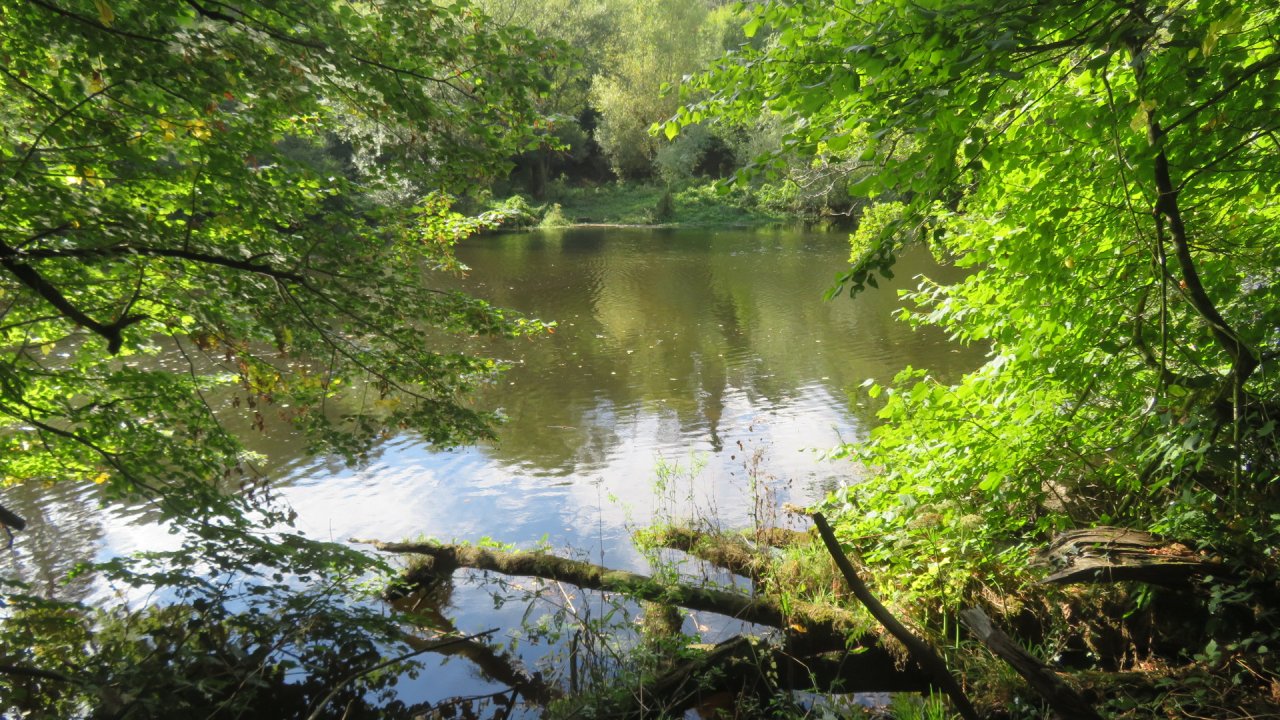 photo du diaporama