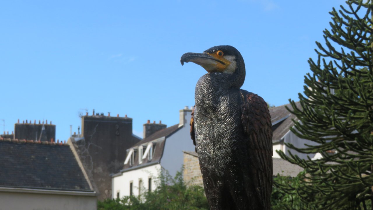 photo du diaporama