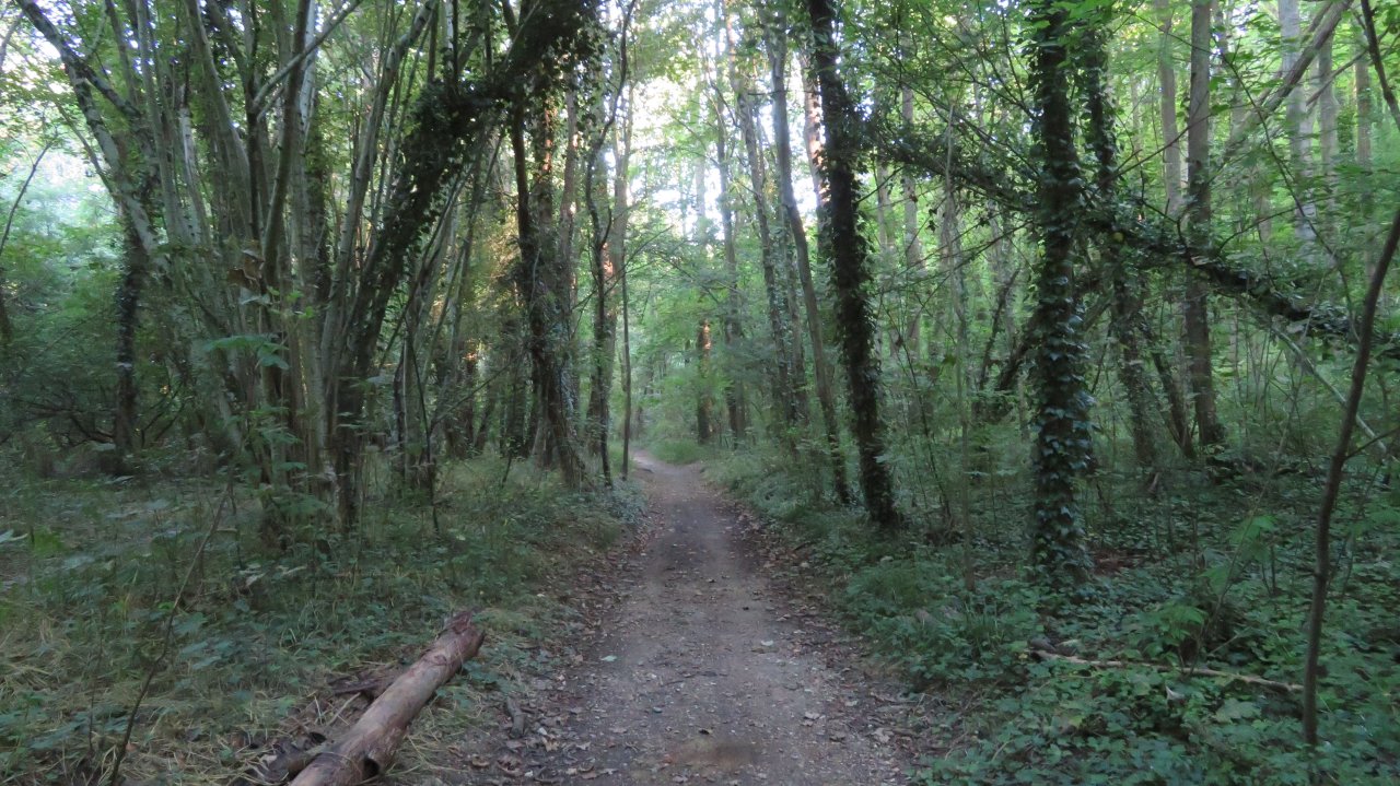 photo du diaporama