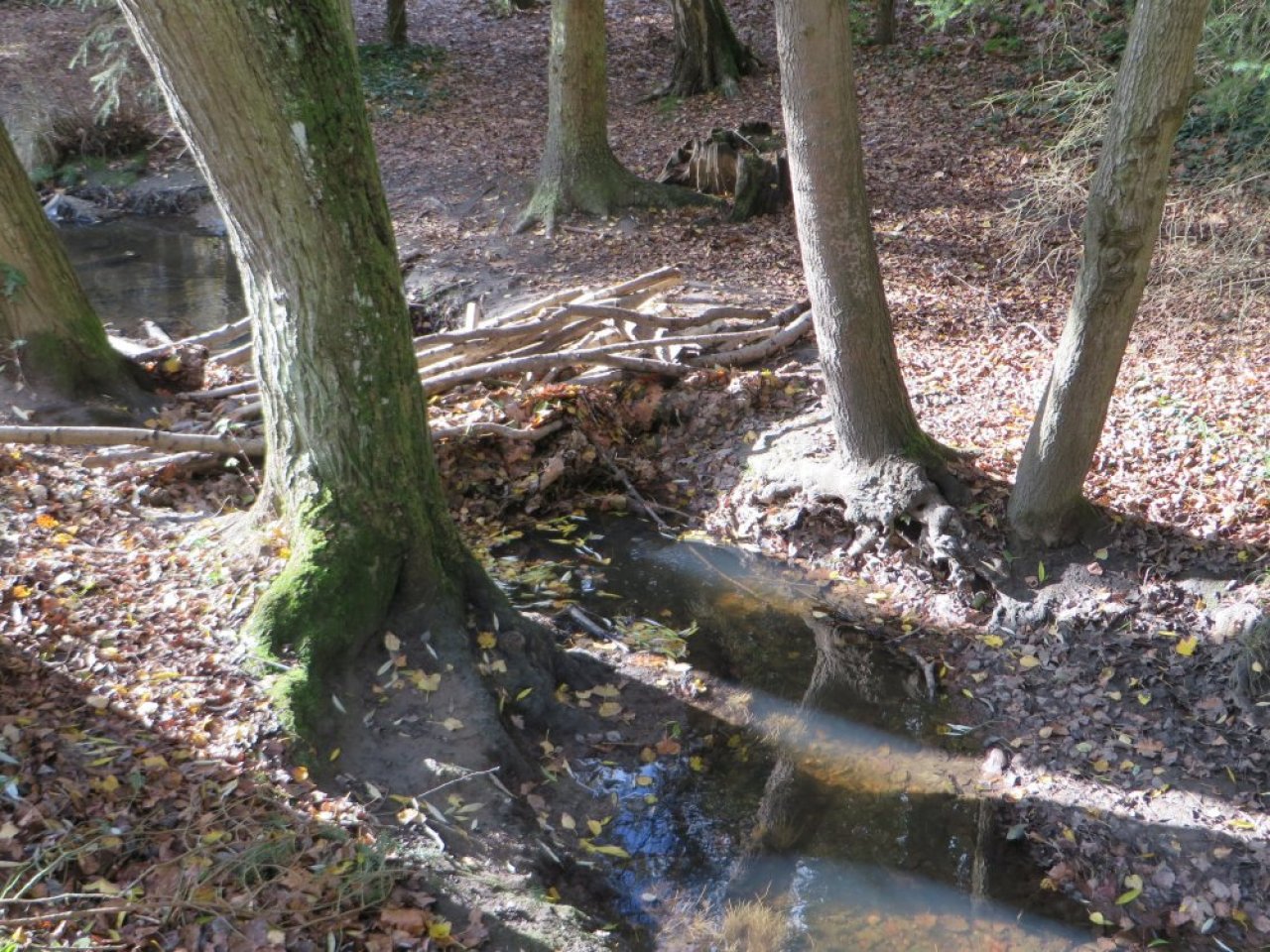 photo du diaporama