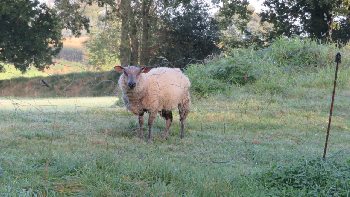 photo de la randonne