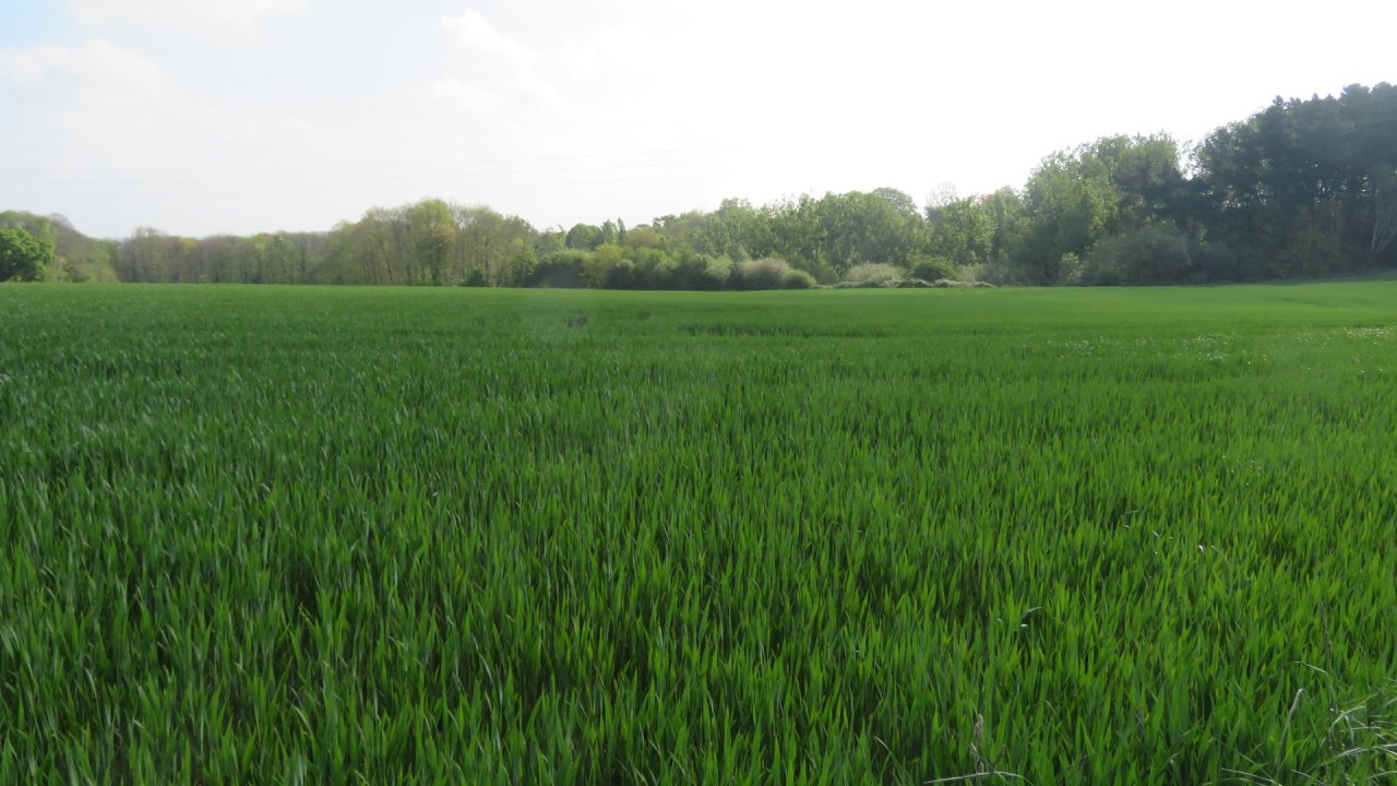 photo du diaporama