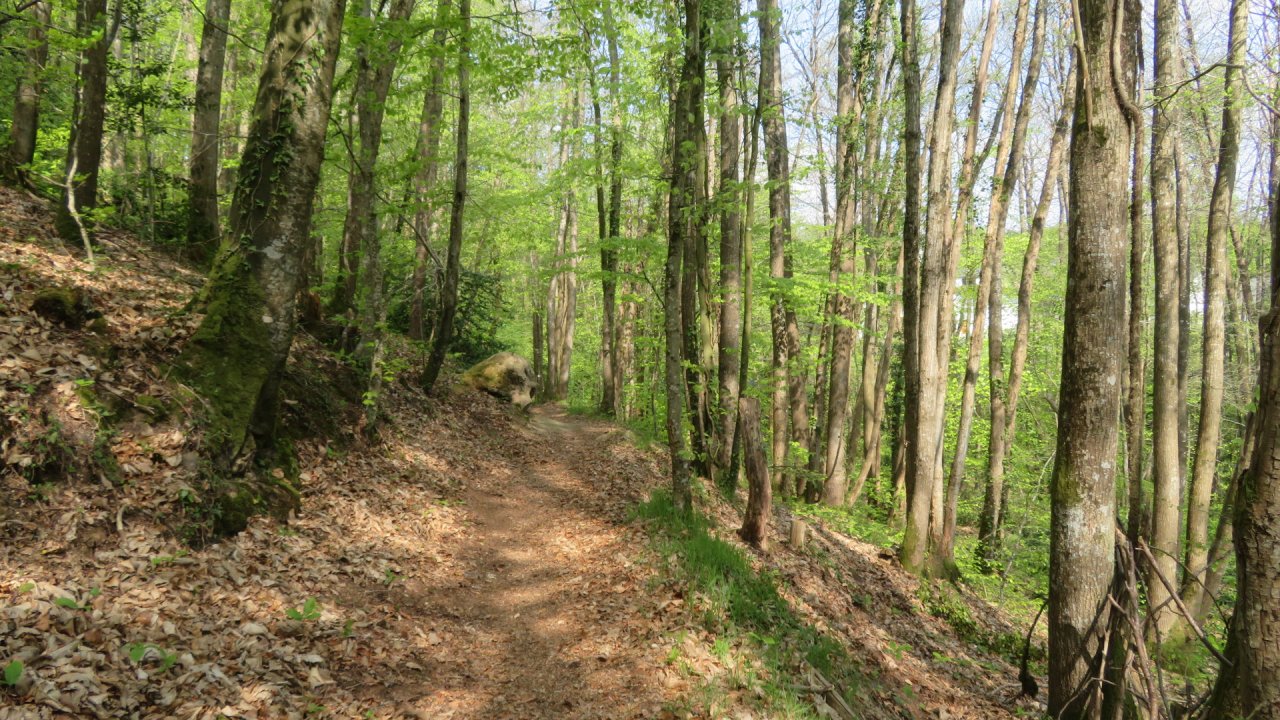 photo du diaporama