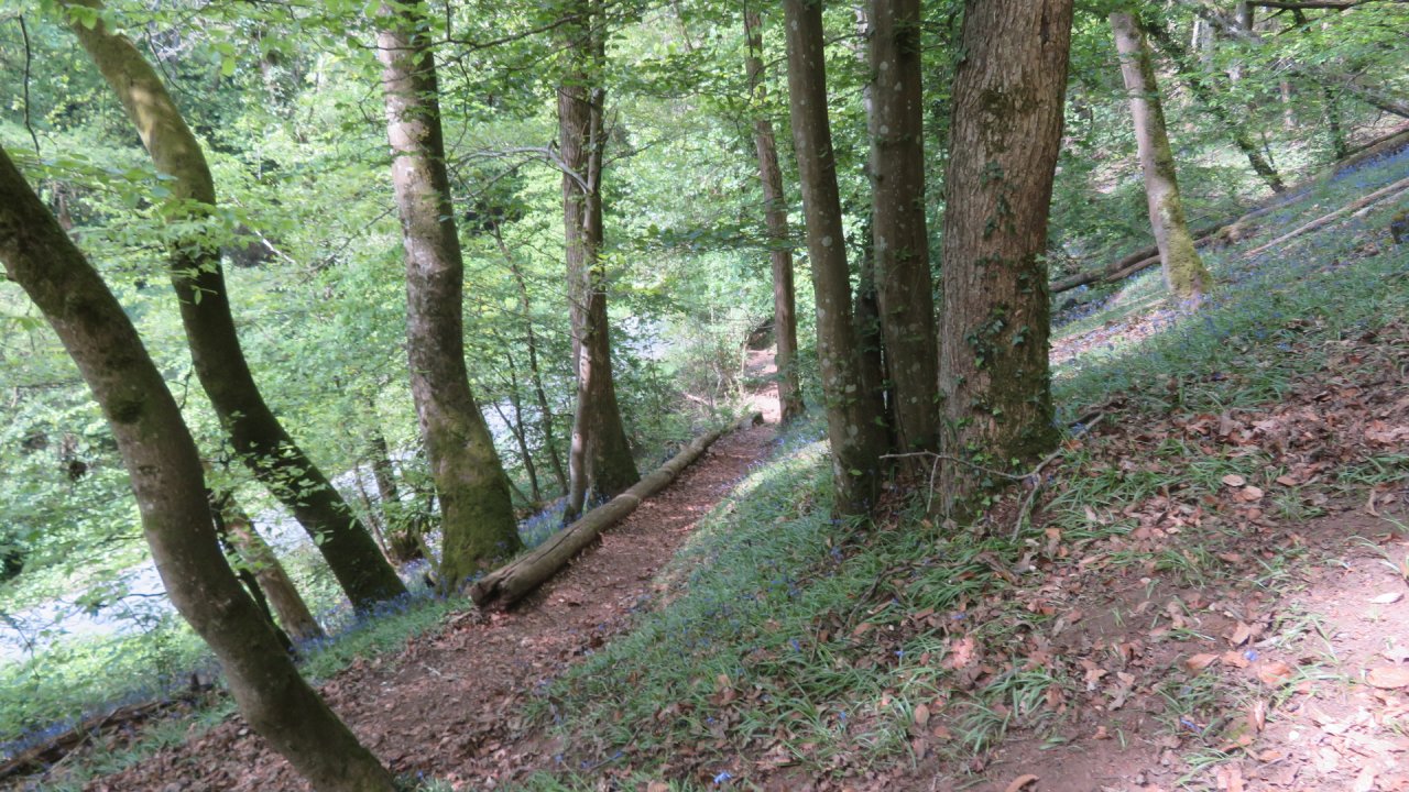 photo du diaporama