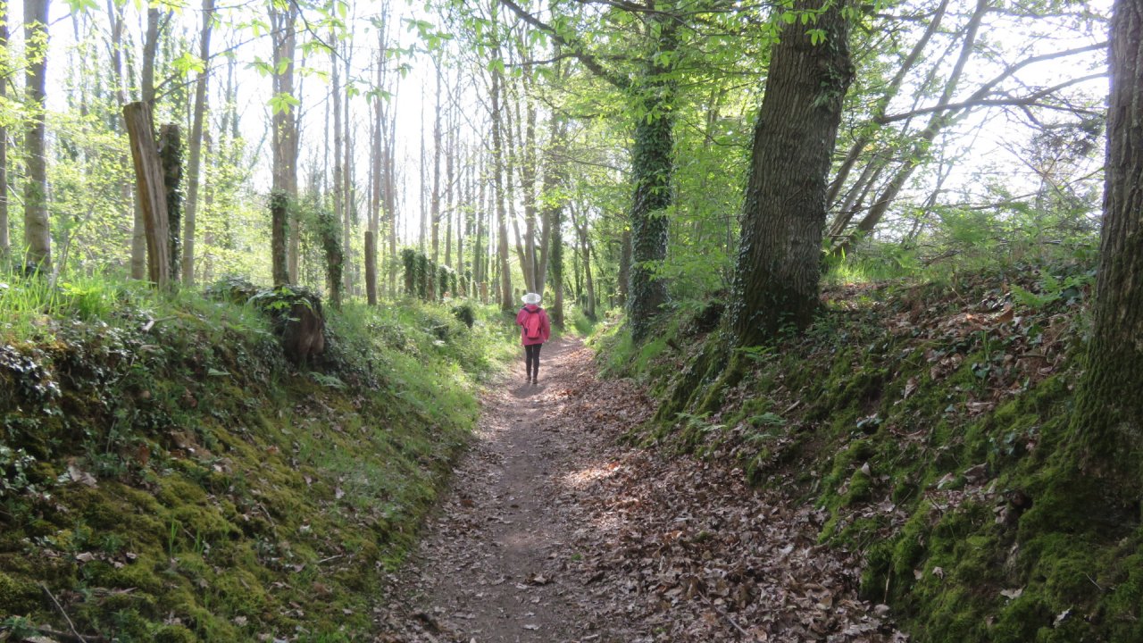 photo du diaporama