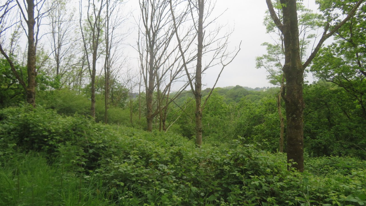 photo du diaporama
