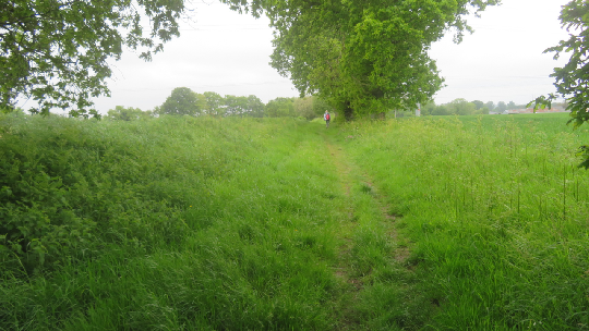 photo de la randonne