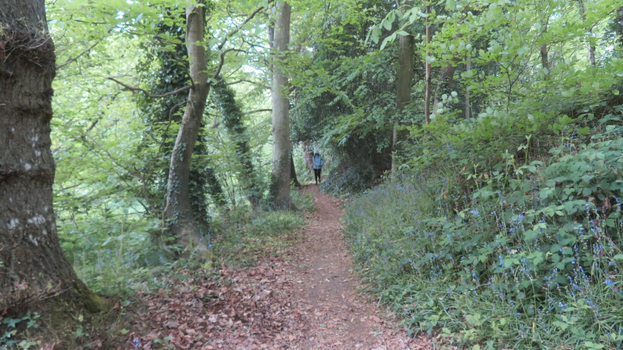photo du diaporama