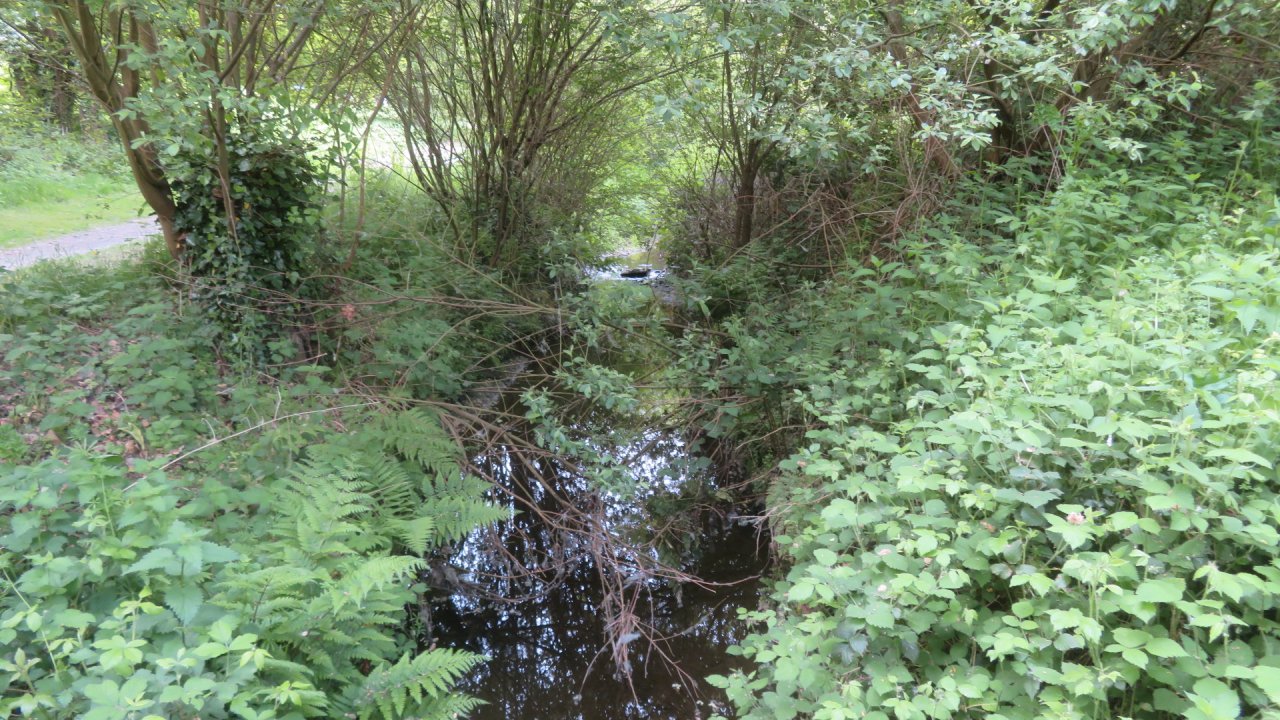 photo du diaporama