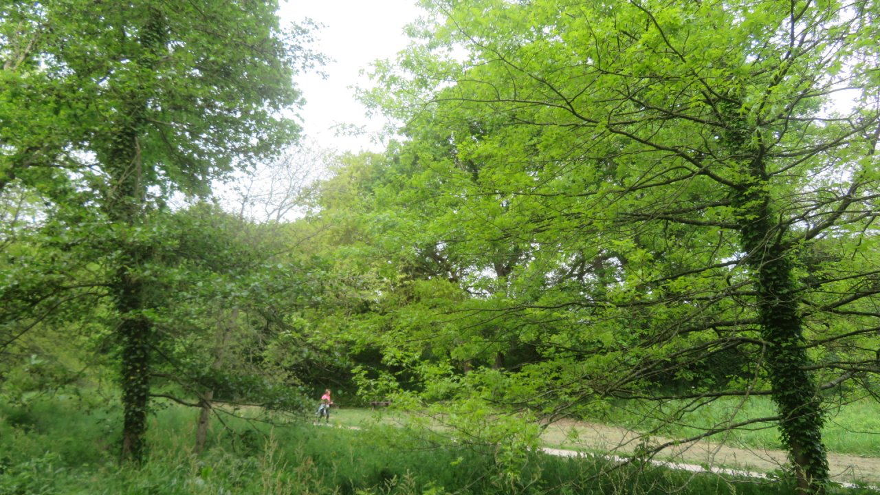 photo du diaporama