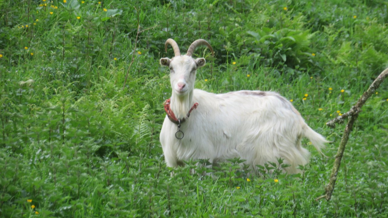 photo du diaporama