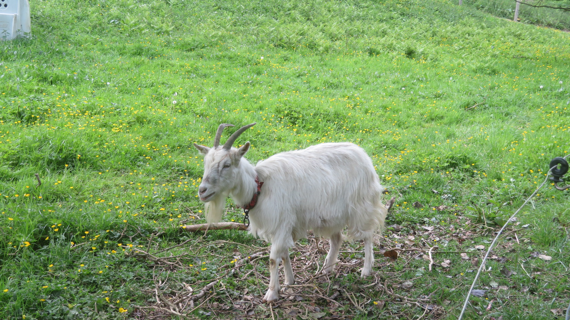 photo du diaporama
