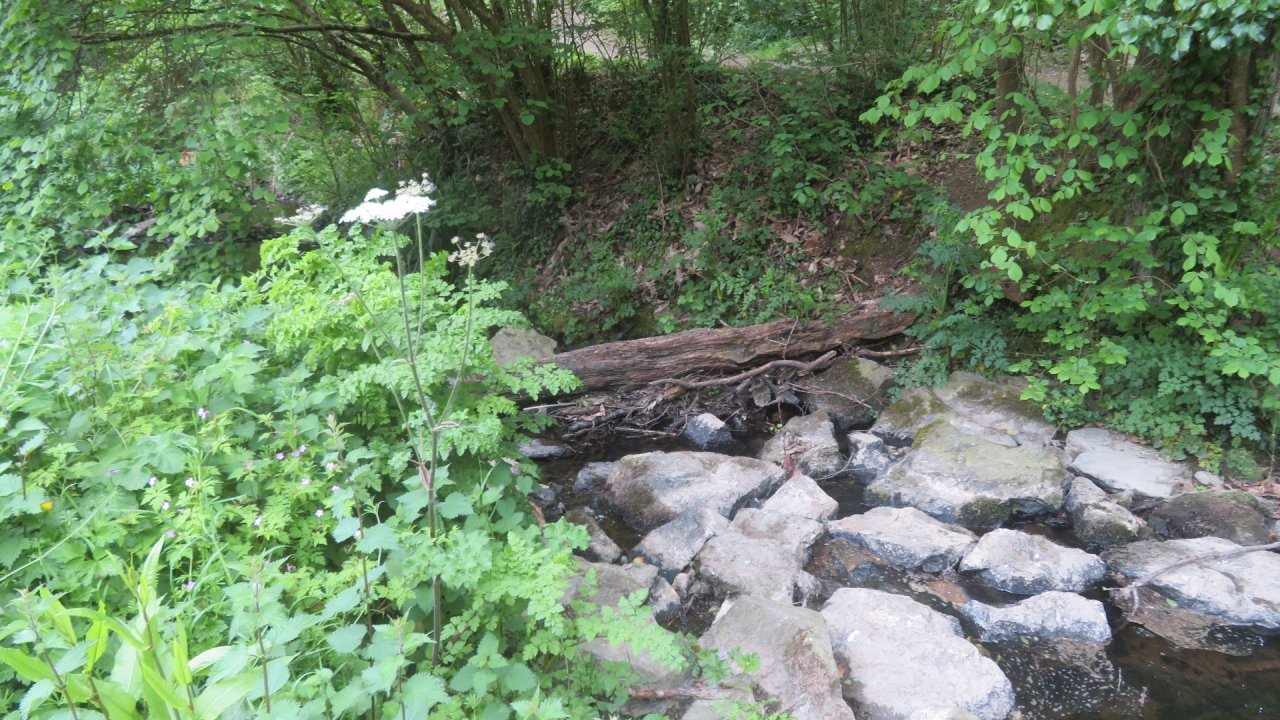 photo du diaporama