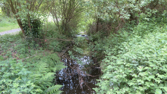 photo de la randonne