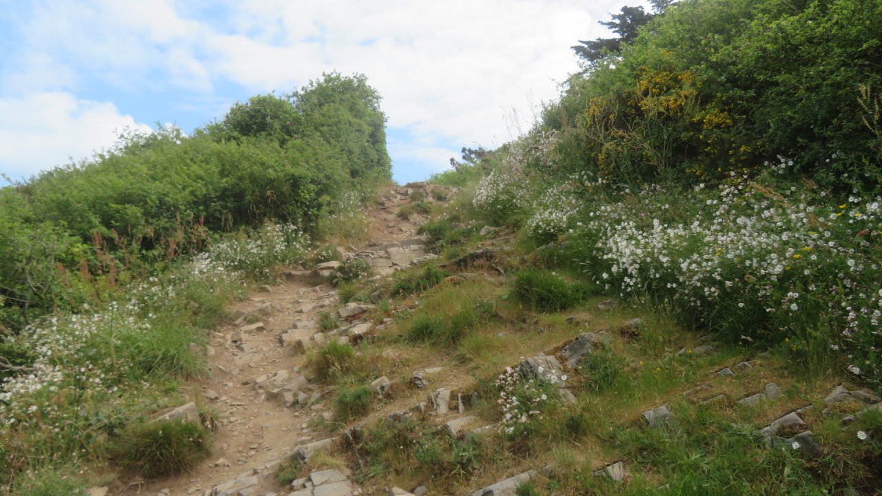 photo du diaporama