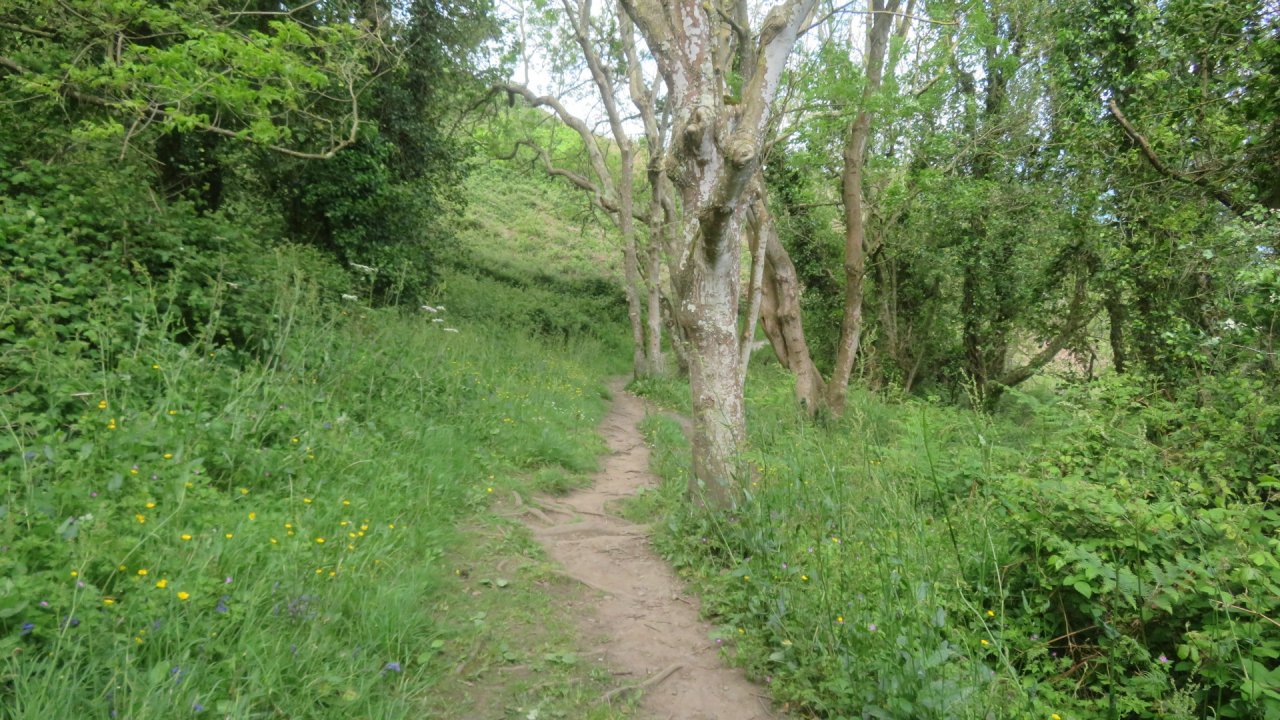 photo du diaporama