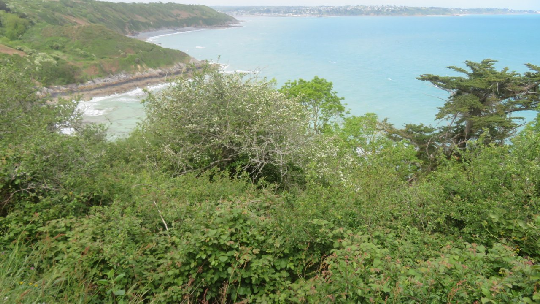 photo de la randonne