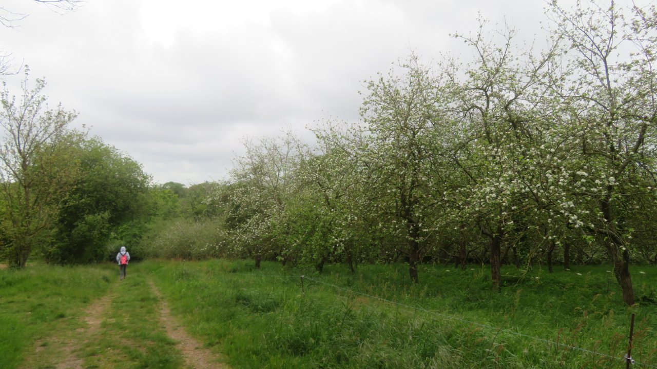 photo du diaporama