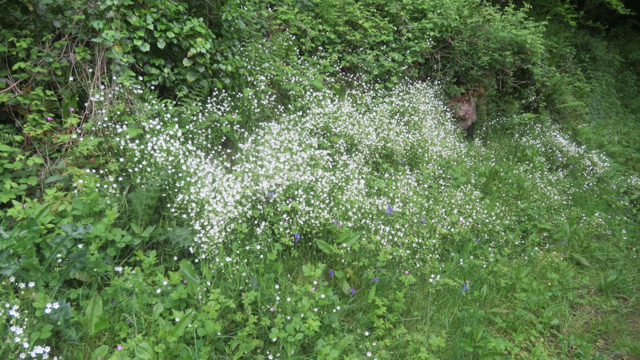 photo du diaporama