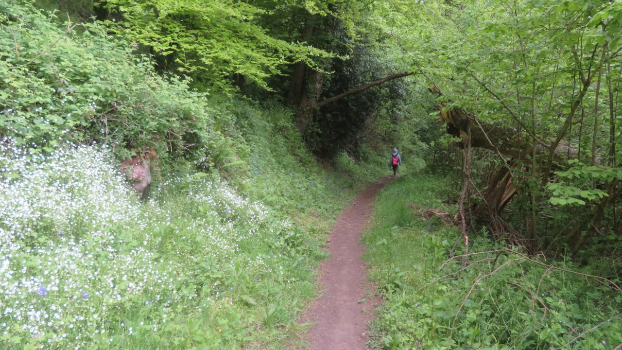 photo du diaporama