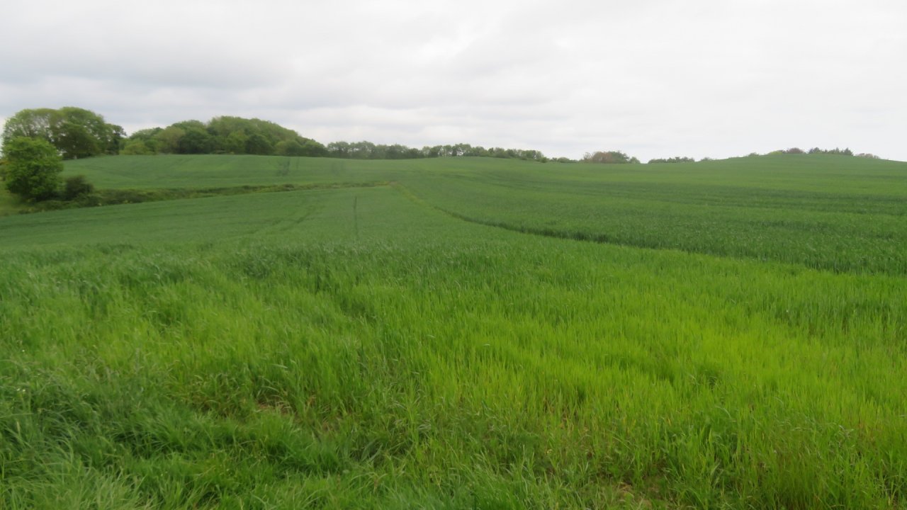 photo du diaporama
