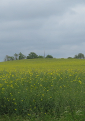 diaporama de la randonne