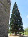 diaporama de la randonne