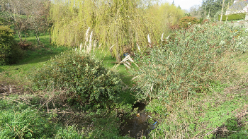 photo de la randonne