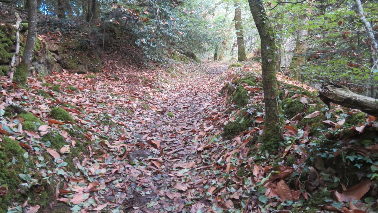 photo du diaporama