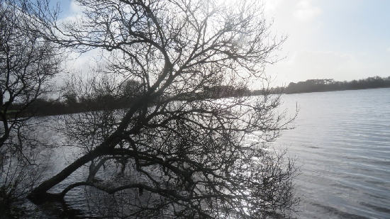 photo de la randonne