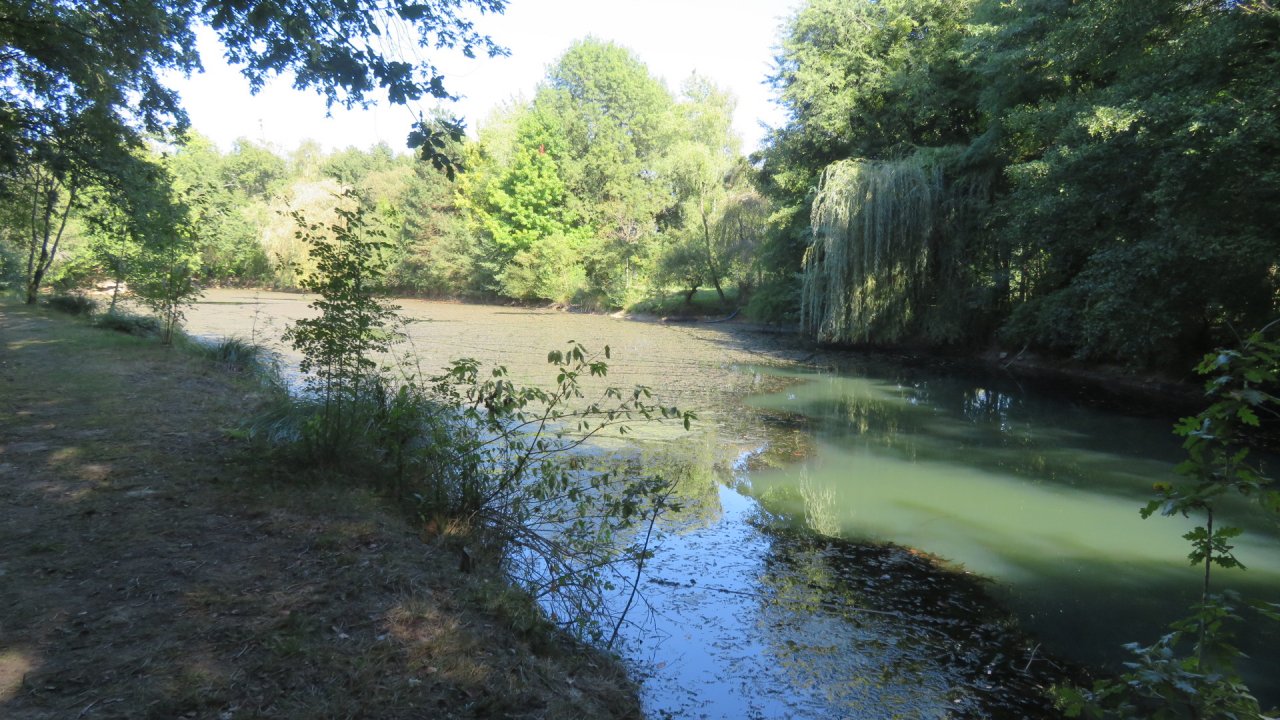 photo du diaporama