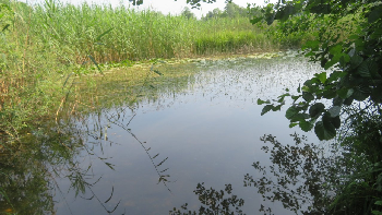 photo de la randonn�e