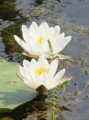 br_diaporama de la randonn�e