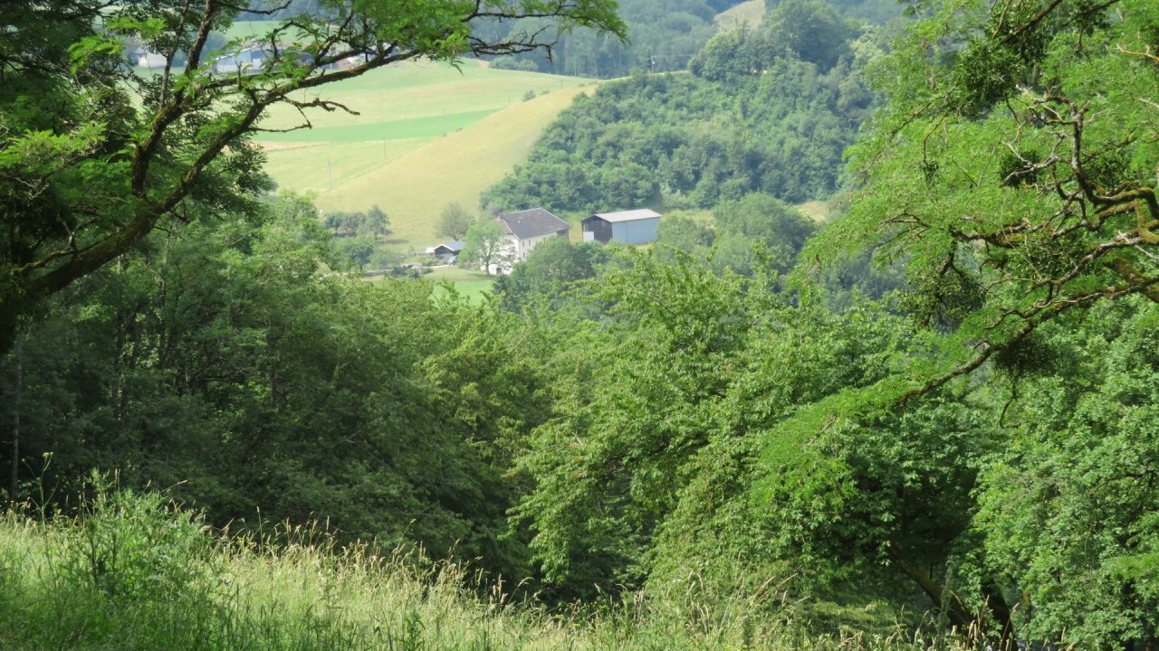 photo du diaporama