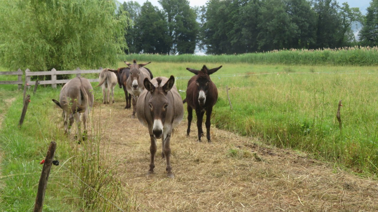 photo du diaporama