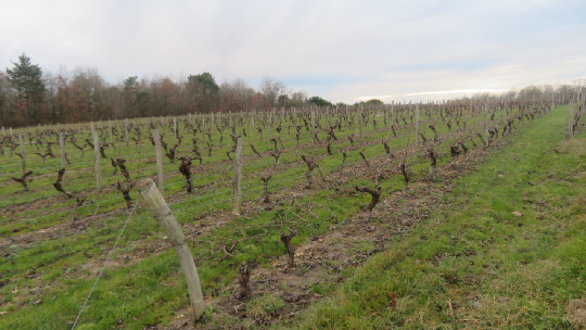 photo de la randonn�e