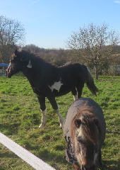 diaporama de la randonn�e