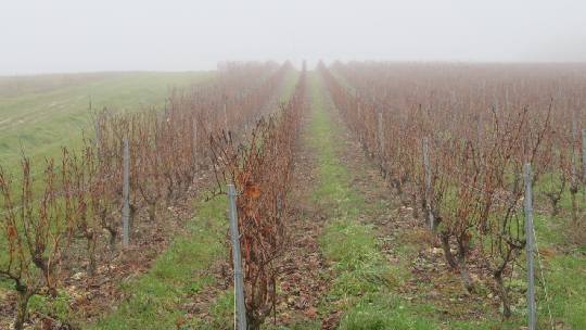 photo de la randonn�e