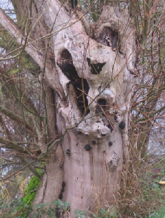 diaporama de la randonn�e