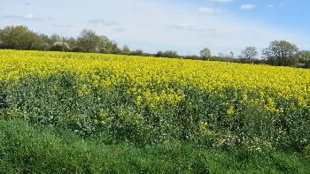 photo de la randonne