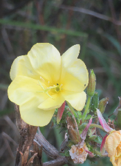 acc�s au diaporama de la randonn�e