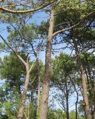 acc�s au diaporama de la randonn�e