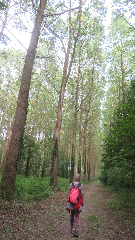 acc�s au diaporama de la randonn�e