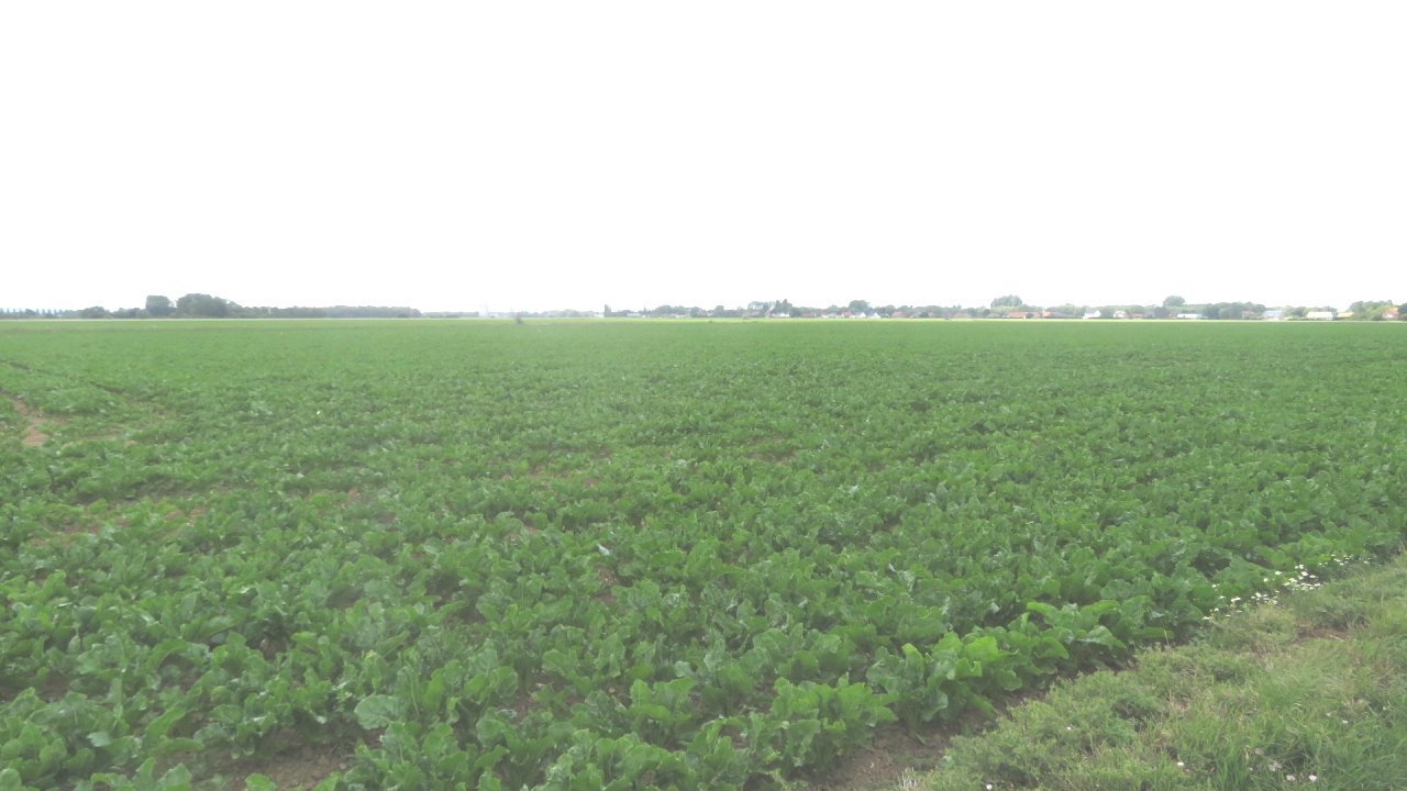 photo du diaporama