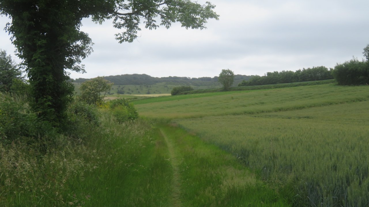 photo du diaporama