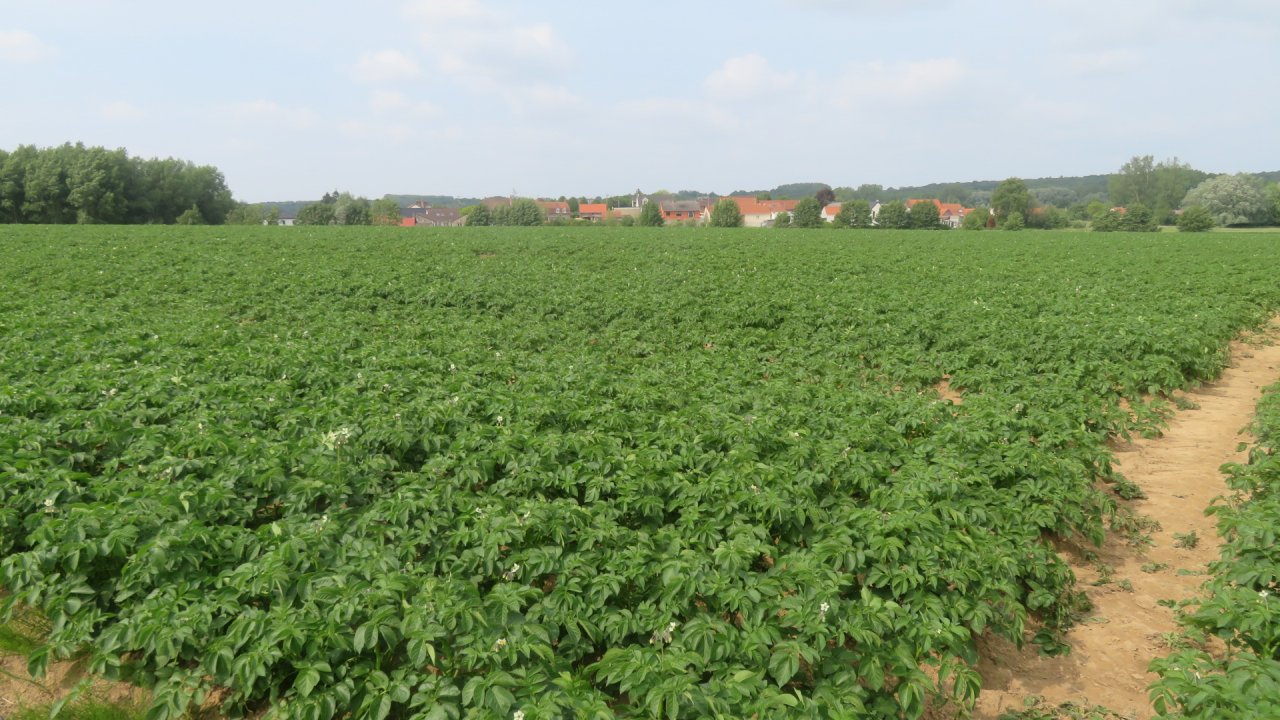 photo du diaporama