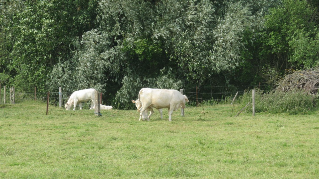 photo du diaporama